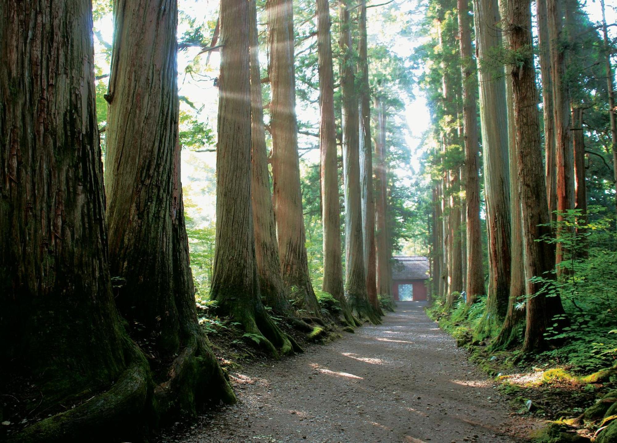 ホテル 風景館 高山村 エクステリア 写真