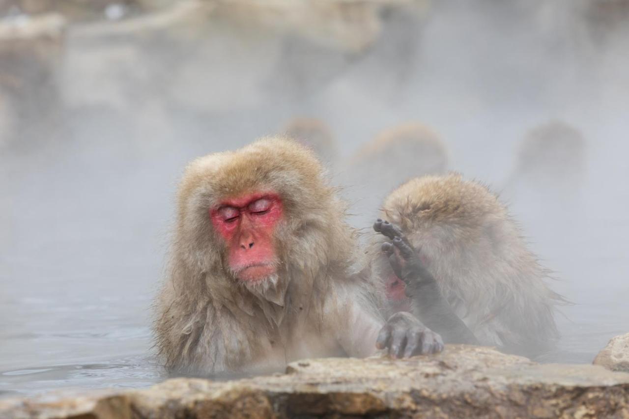 ホテル 風景館 高山村 エクステリア 写真